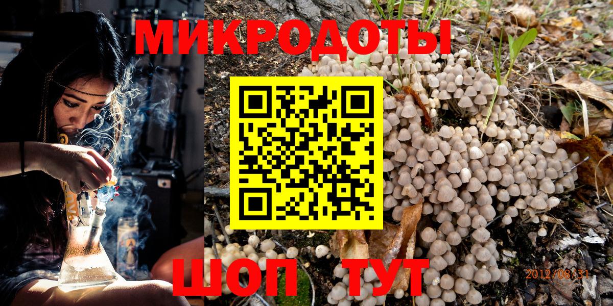 Галлюциногенные грибы Psilocybine cubensis Бахчисарай